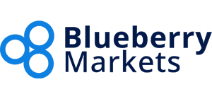 blueberry-maekets